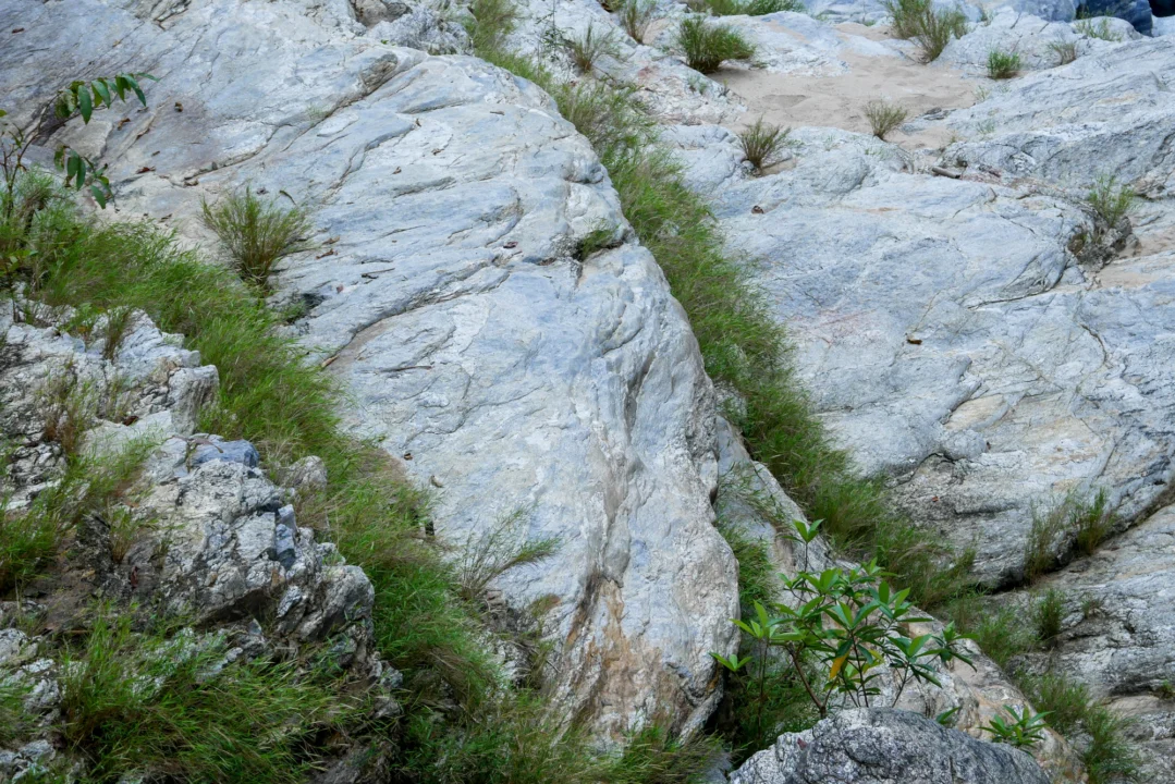 Kurort i widoki — Skała Dmuchawiec Jura Krakowska Polska