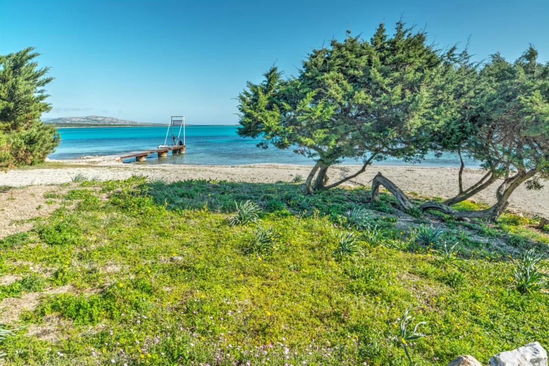 Góry i natura — Skała Kassandra Chalkidiki Grecja