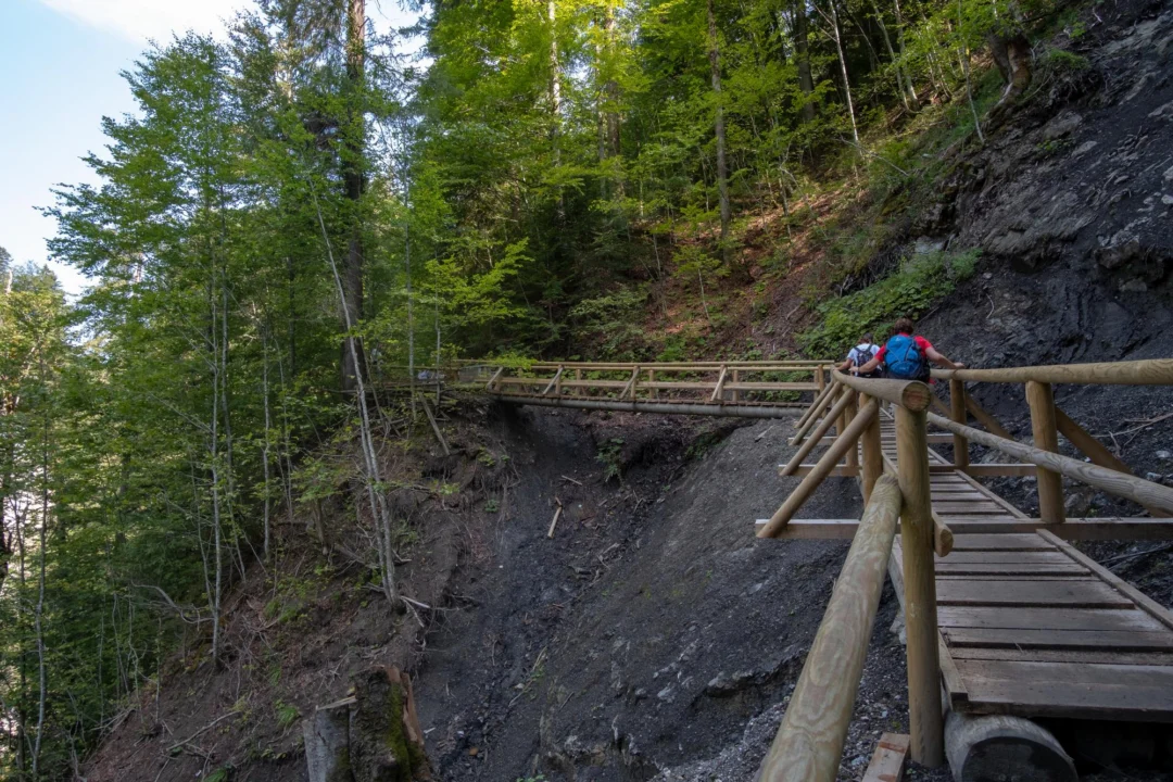 Góry i natura — Skały Owcze Góry Orlickie Czechy