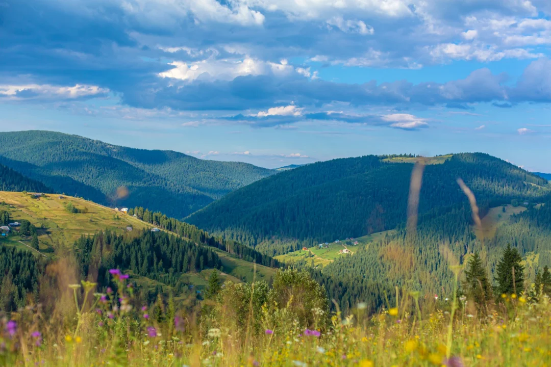 Góry i natura — Skały w Otrycie Pogórze Karpackie Polska