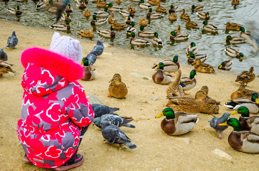 Góry i natura — Słone jeziora w Patos Riwiera Albańska Albania