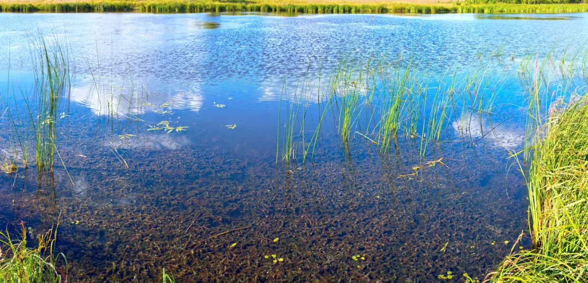 Kurort i widoki — Słowiński Park Narodowy Pojezierze Pomorskie Polska