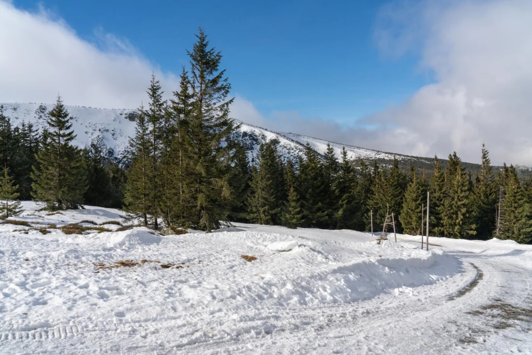 Góry i natura — Śnieżka Karkonosze Polska
