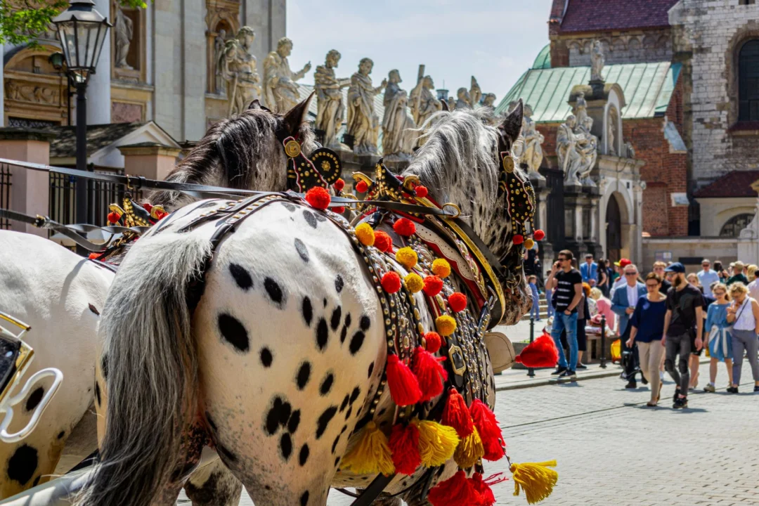 Kurort i widoki — Stare Miasto Kraków Polska