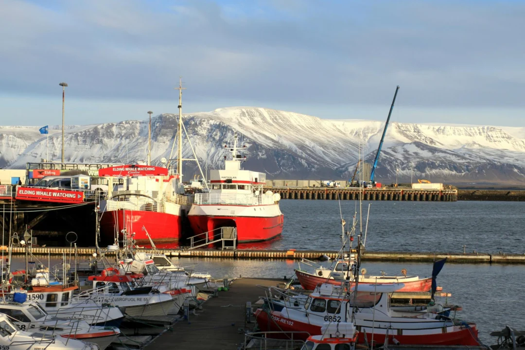 Kurort i widoki — Sun Voyager Reykjavik Islandia