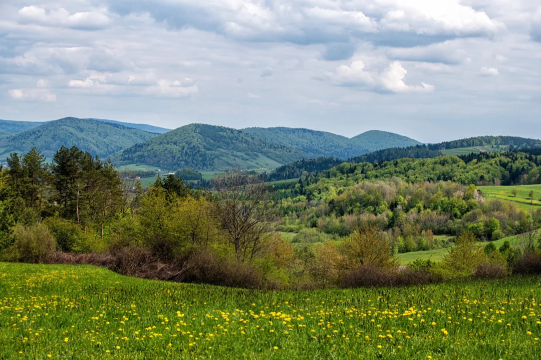Atrakcje turystyczne — Szlak Architektury Drewnianej Beskid Niski Polska
