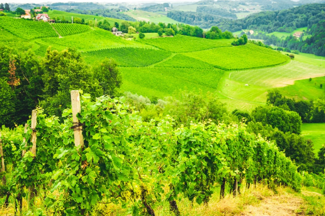 Atrakcje turystyczne — Szlak Wina Styrii Styria Austria