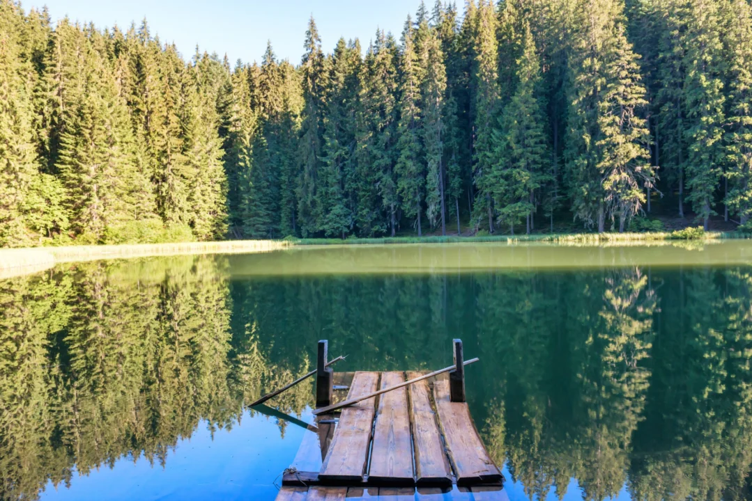 Góry i natura — Szumawy Czechy
