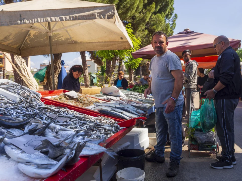 Atrakcje turystyczne — Targ rybny w Hurghadzie Hurghada Egipt
