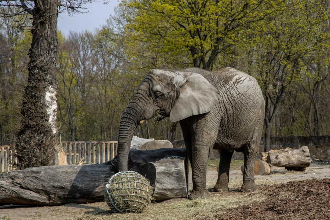 Góry i natura — Targowa 14 Warszawa Polska