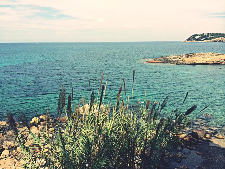 Góry i natura — Torre d'Alcalfar Menorka Hiszpania