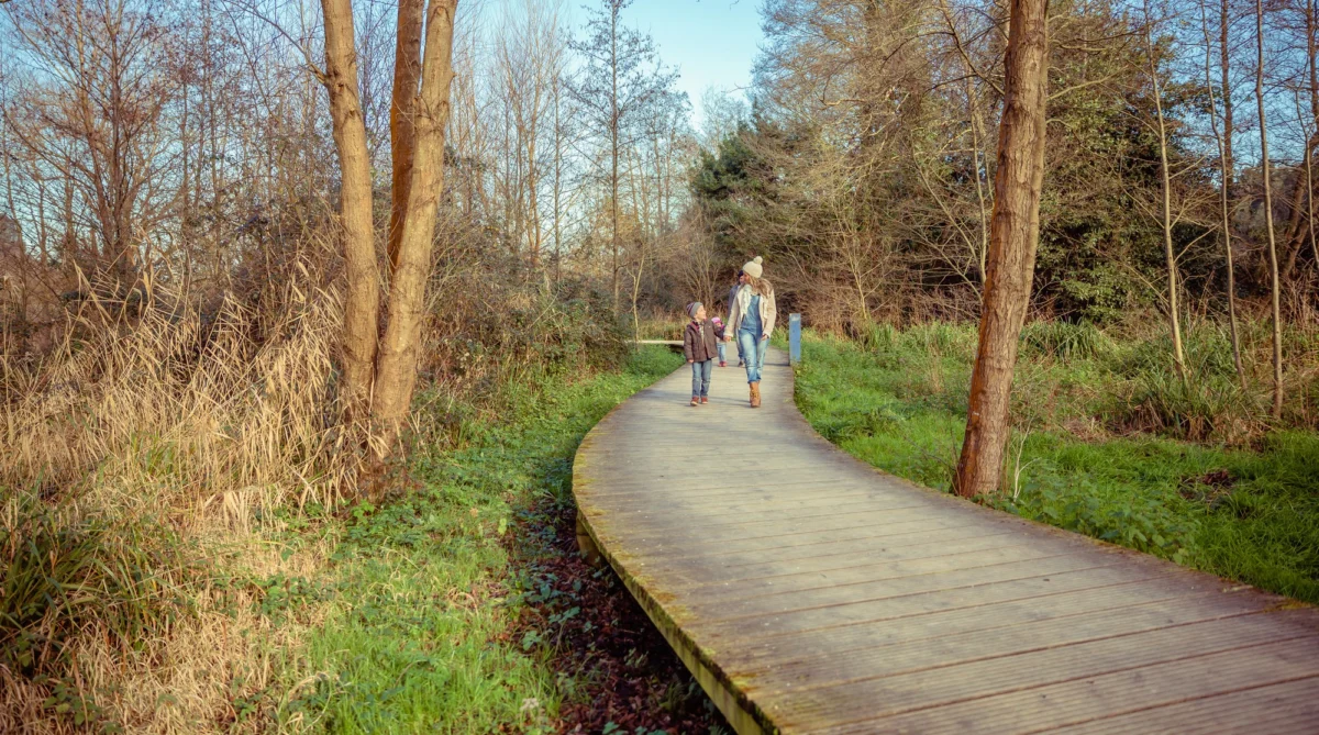 Góry i natura — Trójmiejski Park Krajobrazowy Zatoka Gdańska Polska