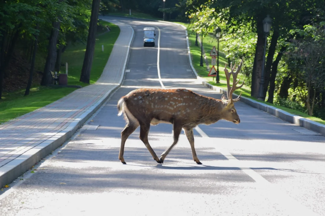 Atrakcje turystyczne — Trójmiejski Park Krajobrazowy Zatoka Gdańska Polska