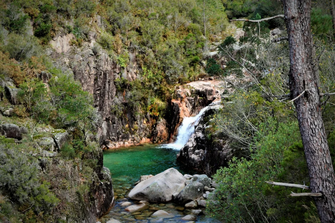 Góry i natura — Troodos Cypr