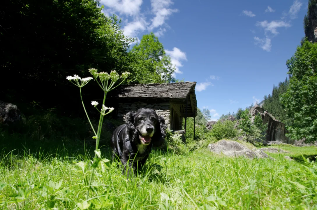 Kurort i widoki — Tyrol Austria