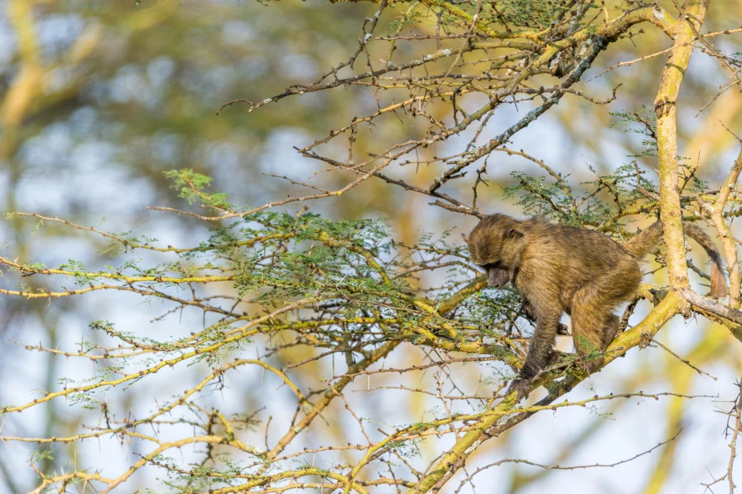 Góry i natura — Uroczysko Kalenne Wyżyna Lubelska Polska