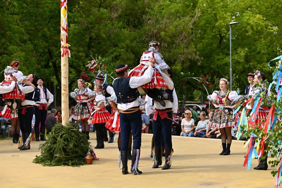 Atrakcje turystyczne — Vrsar — rybacka osada Istria Chorwacja