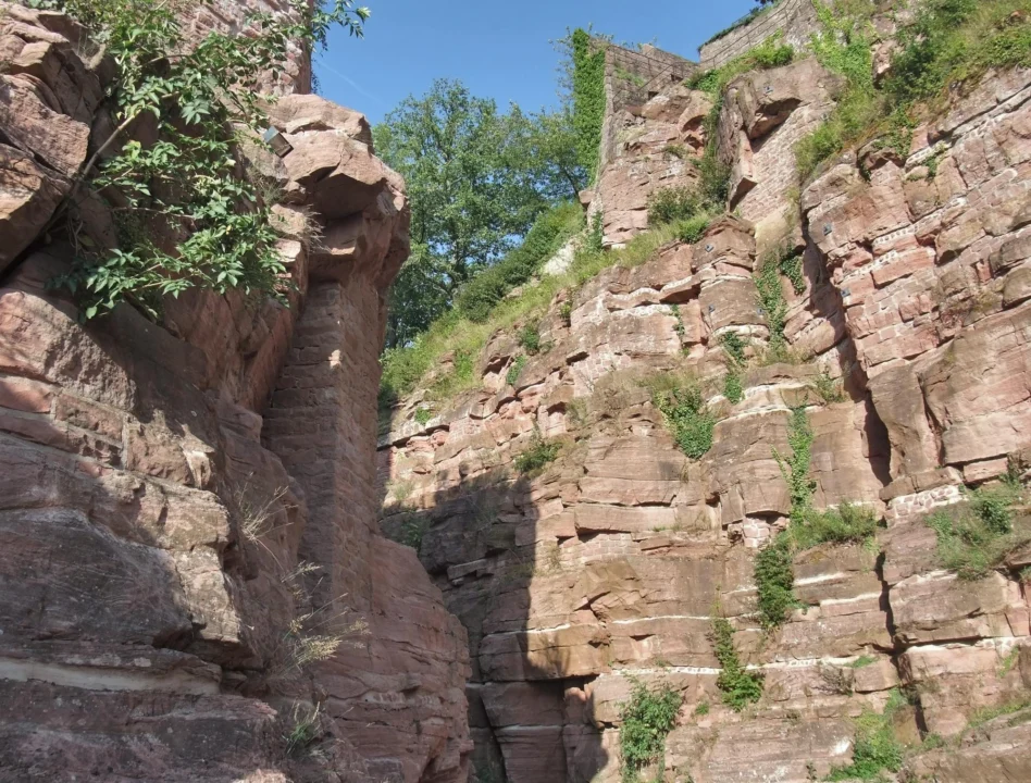 Góry i natura — Wąwóz Homole Pieniny Polska