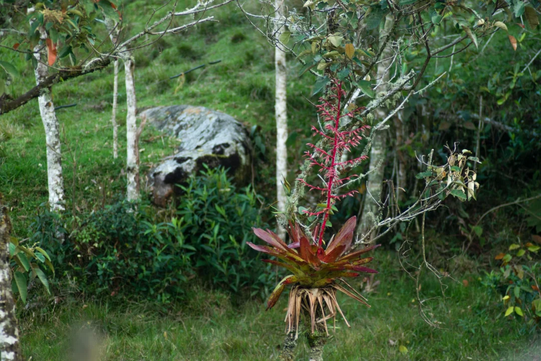 Góry i natura — Wąwóz Samaria Kreta Zachodnia Grecja