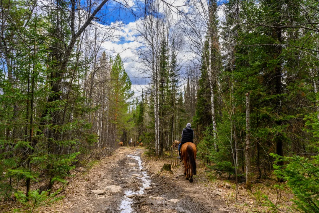 Góry i natura — Wigierski Park Narodowy Polesie Polska
