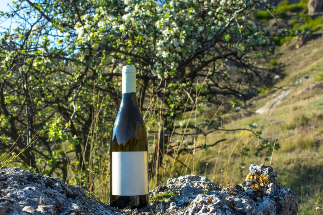 Góry i natura — Wina Dalmacji Północnej Dalmacja Północna Chorwacja