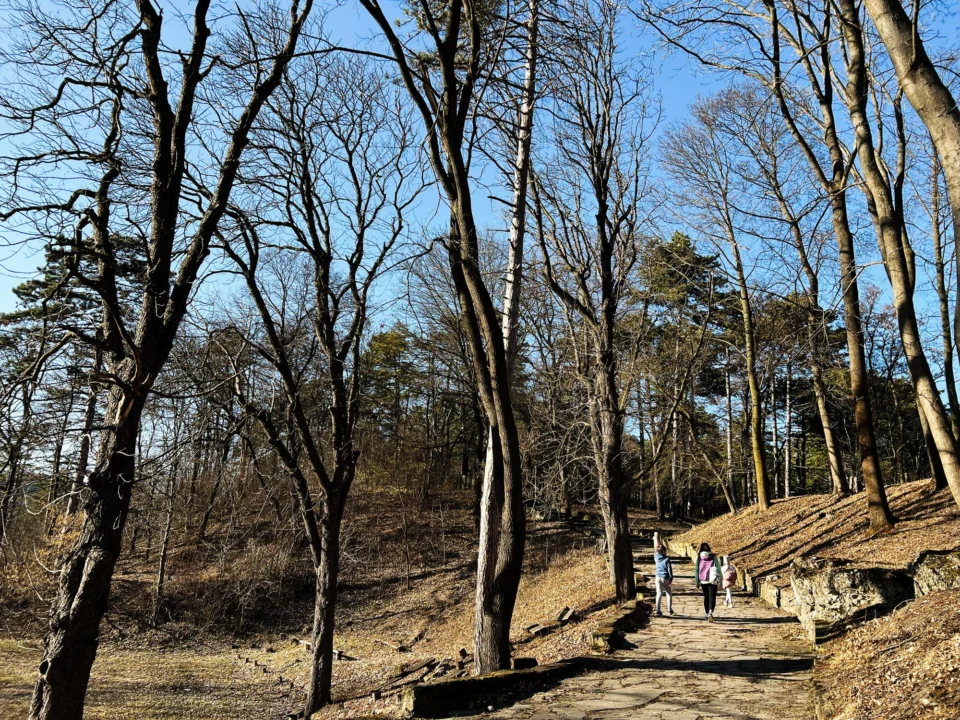 Miasto i architektura — Włodawa i jej cerkwie Polesie Polska