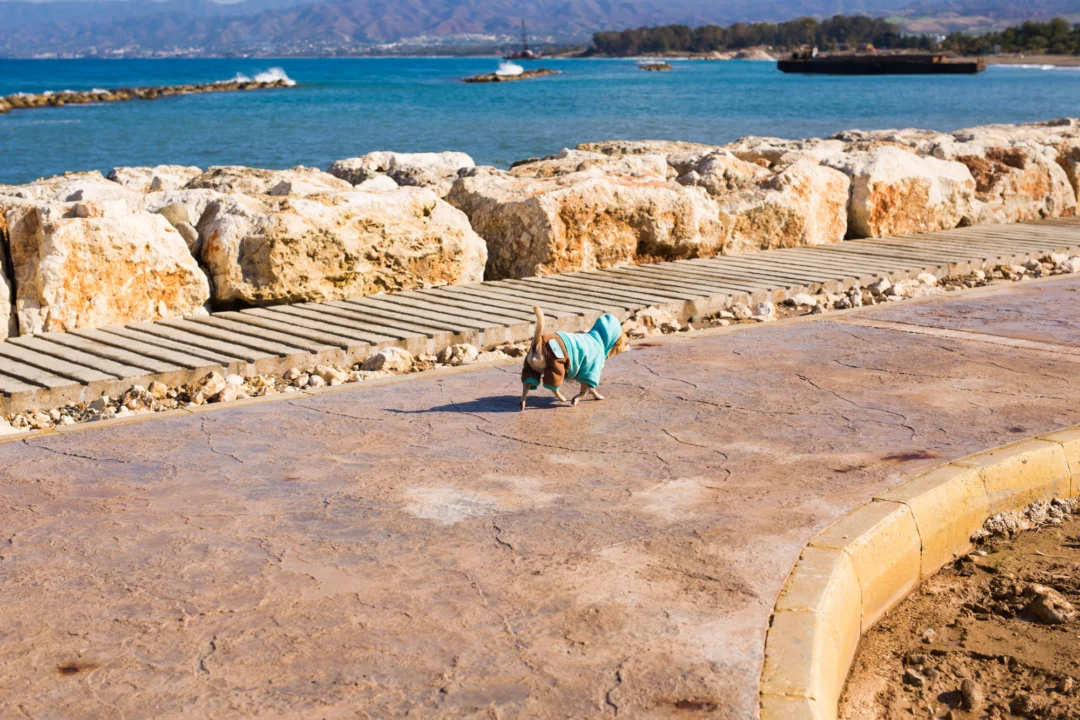 Miasto i architektura — Wodospady Adonis Pafos Cypr