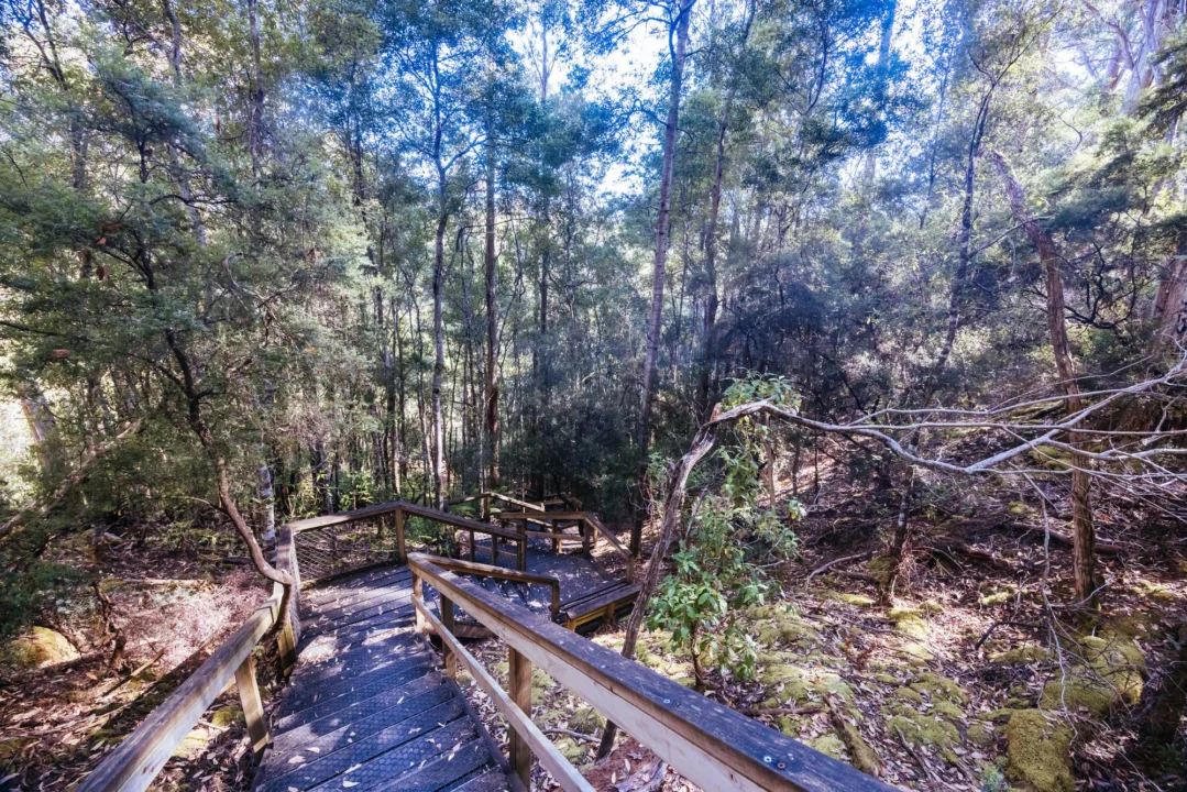 Góry i natura — Woliński Park Narodowy Wybrzeże Zachodnie Polska