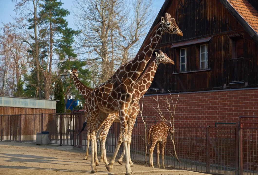 Góry i natura — Wrocław Polska