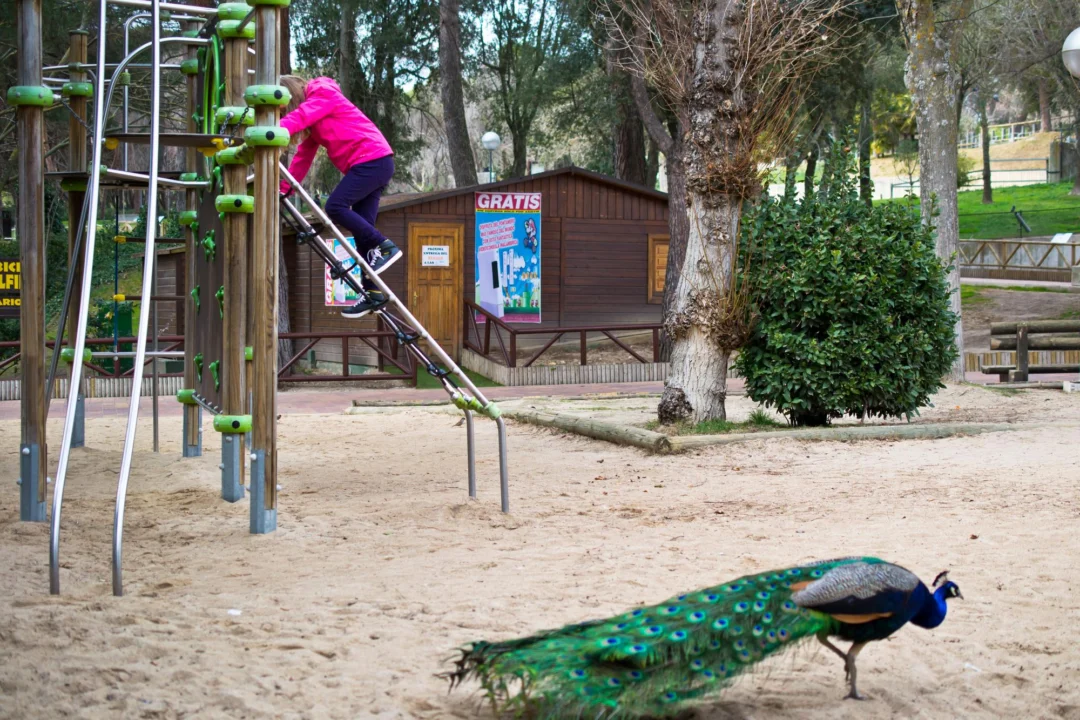 Atrakcje turystyczne — Wrocławskie zoo Dolny Śląsk Polska