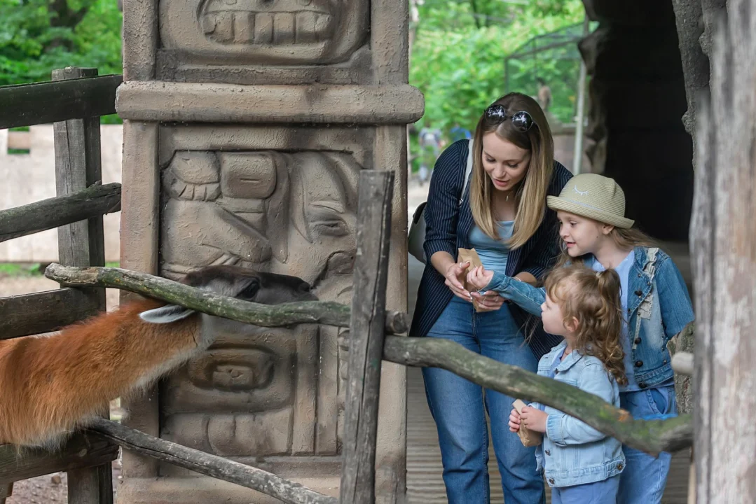 Miasto i architektura — Wrocławskie zoo Dolny Śląsk Polska