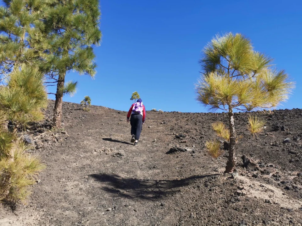 Góry i natura — Wulkan Teide Teneryfa Hiszpania