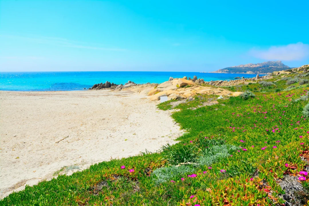 Plaża i wybrzeże — wakacje w Wybrzeże Jońskie Albania
