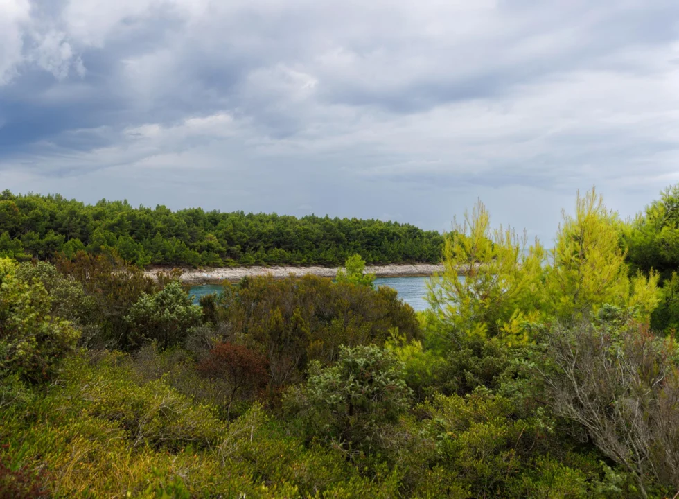 Góry i natura — Wyspa Cres Kvarner Chorwacja