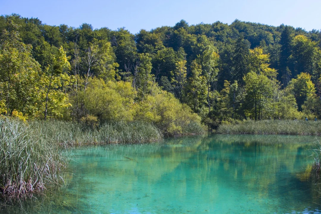 Kurort i widoki — Wyspa Losinj Chorwacja
