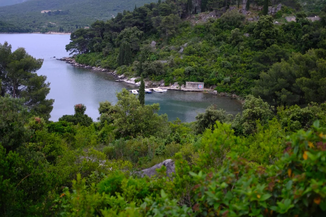 Góry i natura — Wyspa Mljet Chorwacja