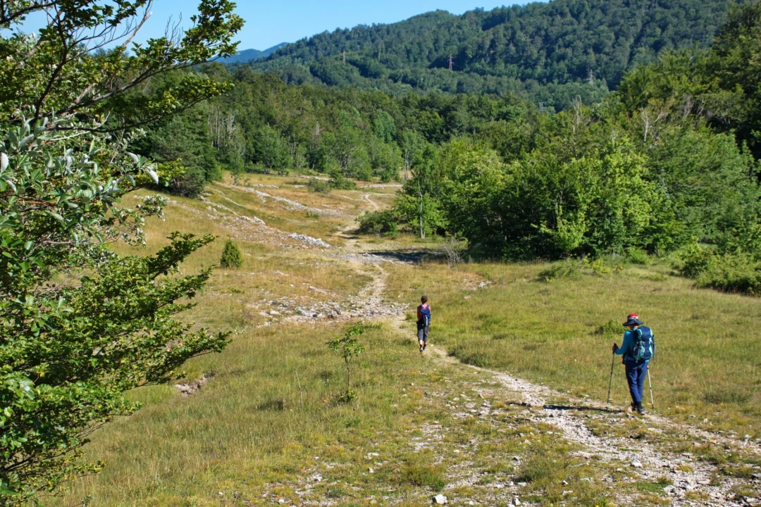 Atrakcje turystyczne — Wyspa Tsougria Skiathos Grecja