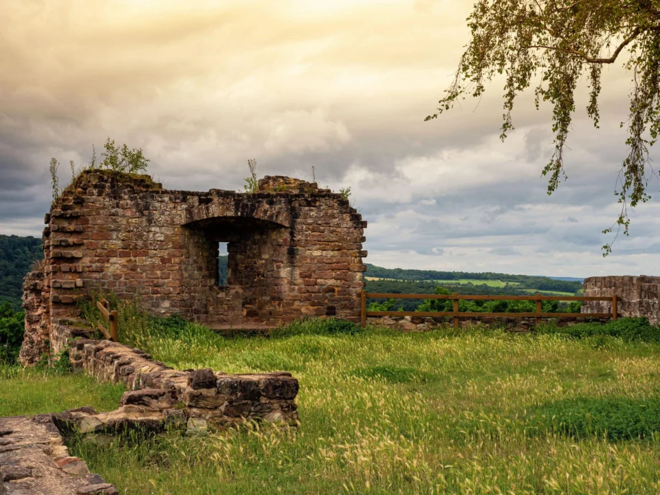 Góry i natura — Wyżyna Kielecka Polska