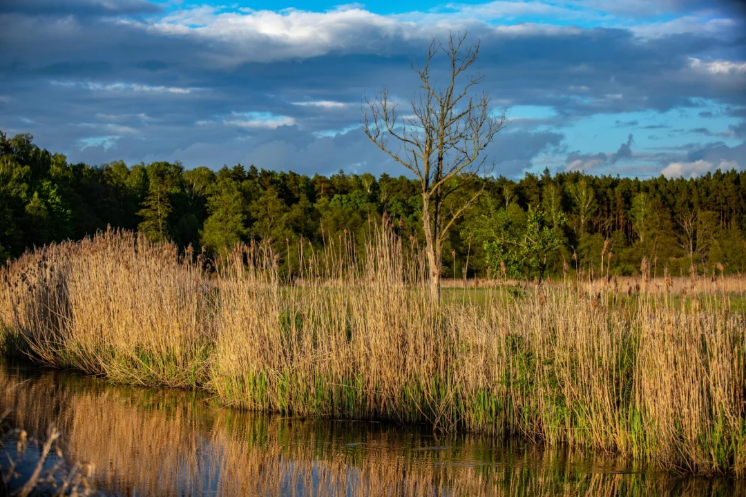 Góry i natura — Wyżyna Lubelska i Roztocze Polska