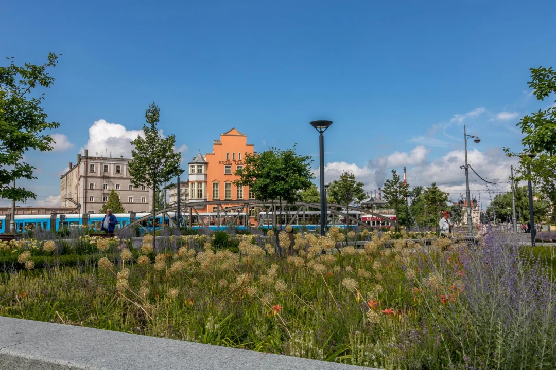 Plaża i wybrzeże — wakacje w Wyżyna Lubelska Polska