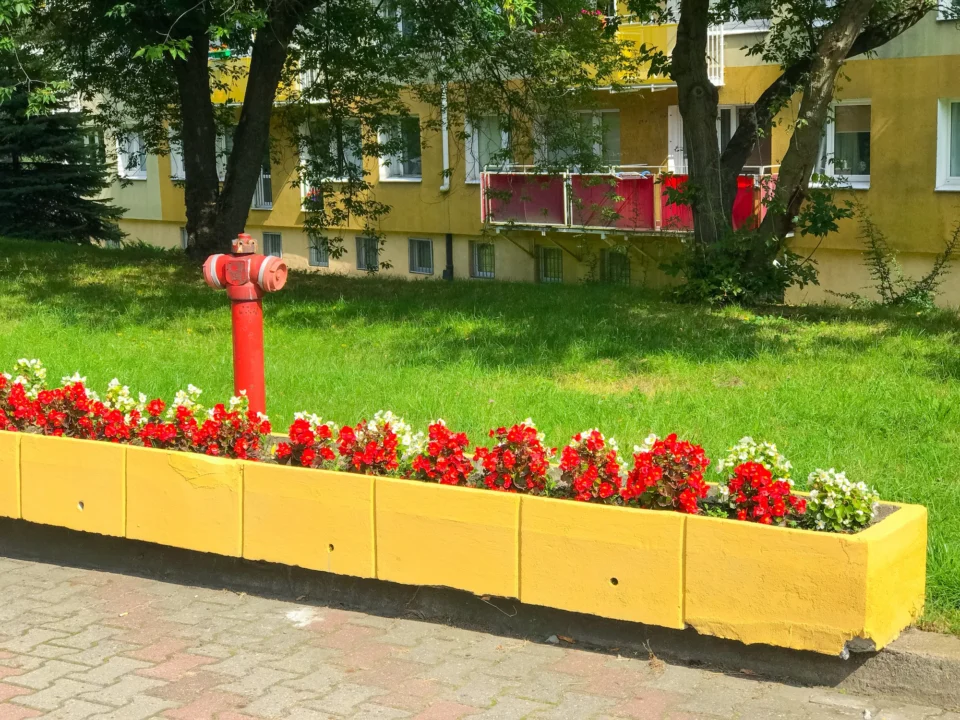 Miasto i architektura — Zamek Cesarski Poznań Polska