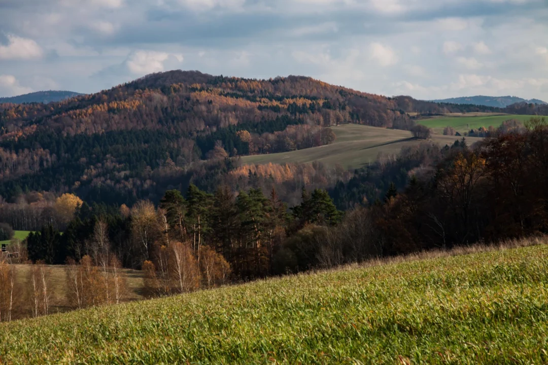 Atrakcje turystyczne — Zamek Hluboká nad Vltavou Czechy Południowe Czechy