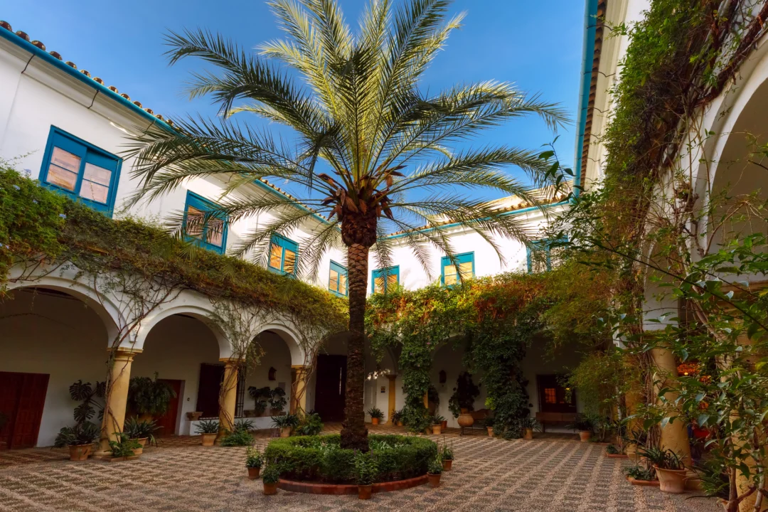 Kurort i widoki — Zamek Monastir Monastir Tunezja