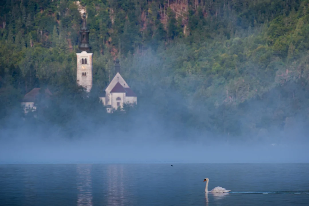 Atrakcje turystyczne — Zamek w Niedzicy Pieniny Polska