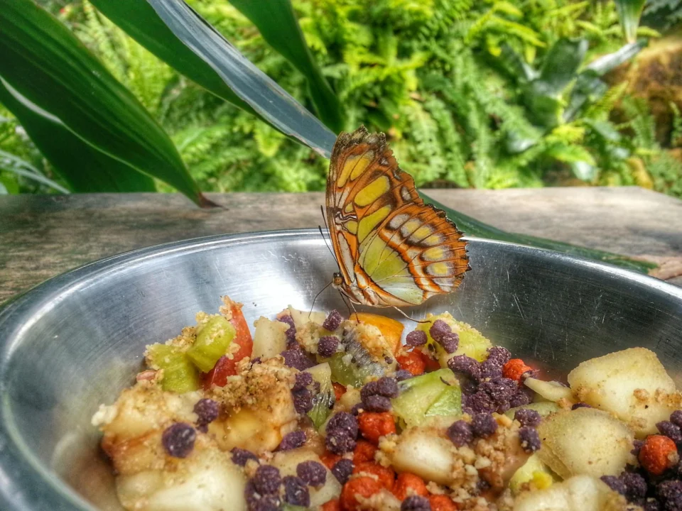 Atrakcje turystyczne — Zatoka Butterfly Dalaman - Fethiye Turcja