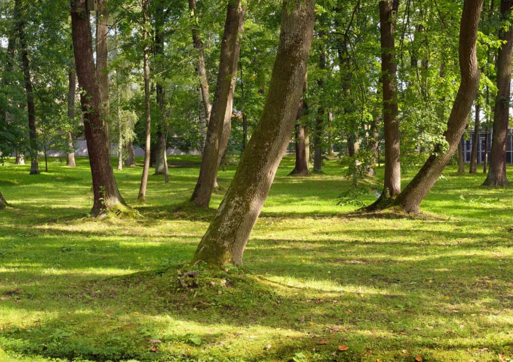 Góry i natura — Zespół pałacowo-parkowy w Kątach Wrocławskich Opolszczyzna Polska