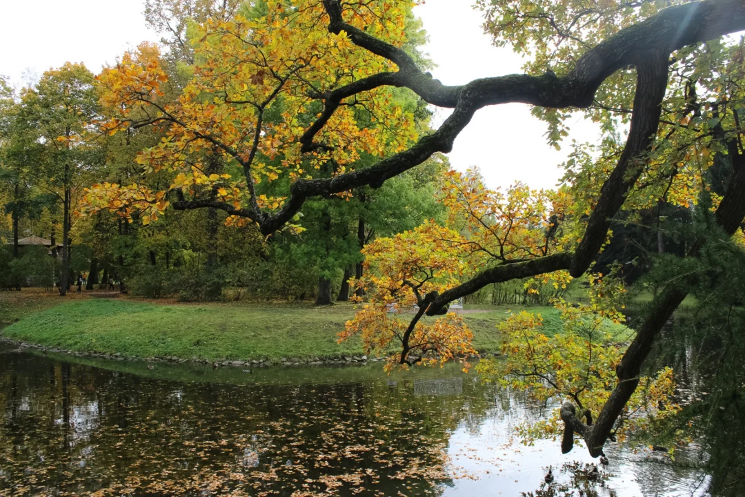 Góry i natura — Zespół pałacowo-parkowy w Ostromecku Kujawy i Żuławy Polska