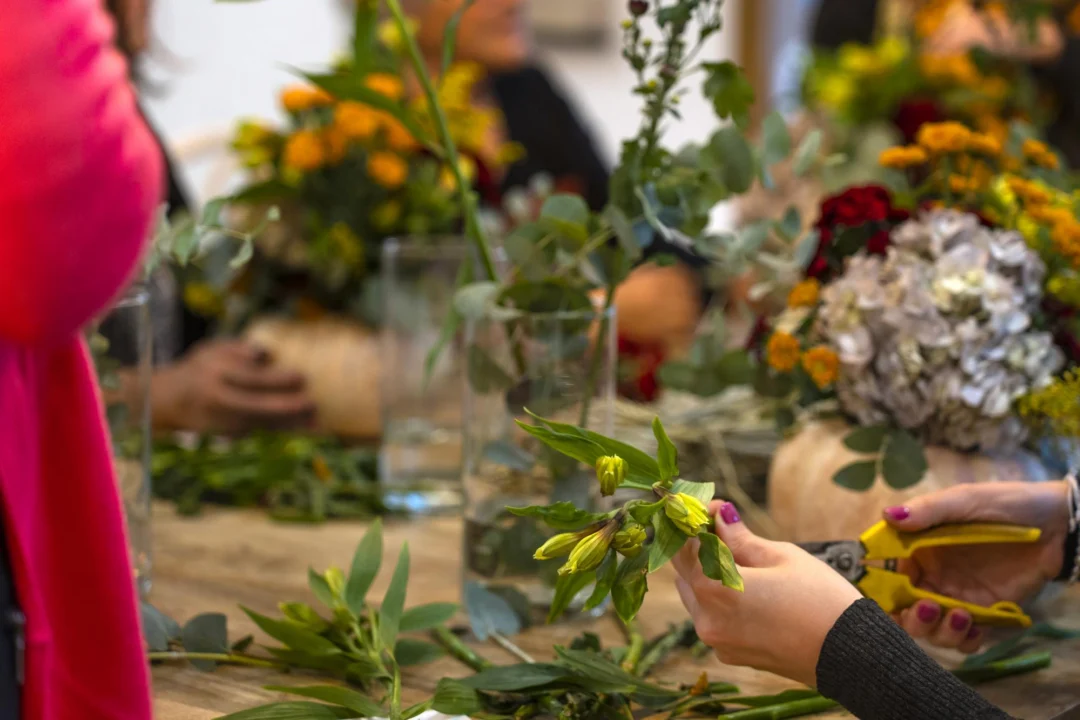 Góry i natura — Zielonogórski Ogród Botaniczny Ziemia Lubuska Polska