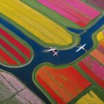 czas lotu do holandii