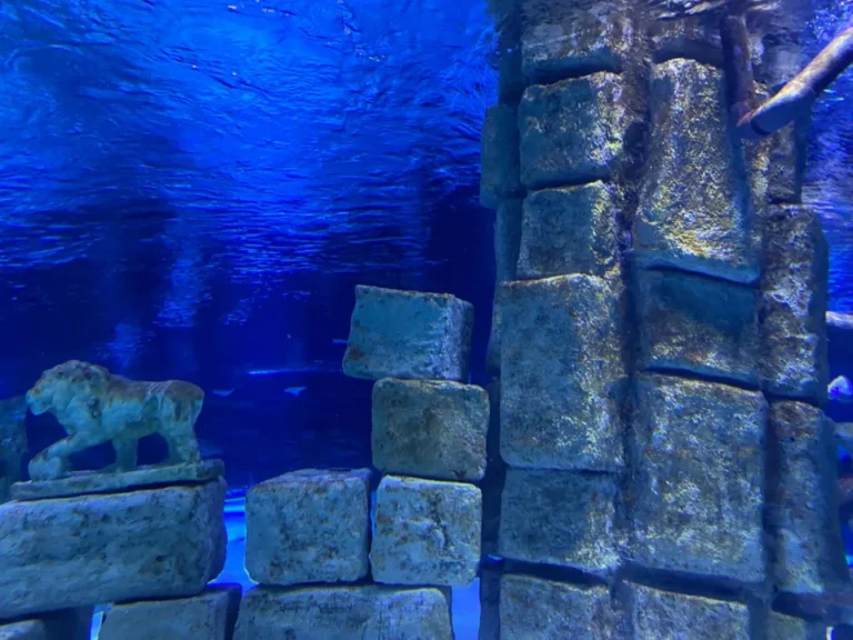 Plaża i wybrzeże — wakacje w Akwarium Ayia Napa Ayia Napa Cypr